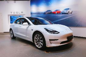 New Energy Electric Vehicle Tesla