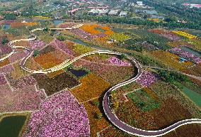 Beautiful Autumn Scenery in China