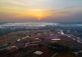 Beautiful Autumn Scenery in China