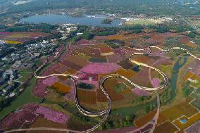 Beautiful Autumn Scenery in China