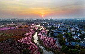 Beautiful Autumn Scenery in China