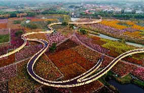 Beautiful Autumn Scenery in China