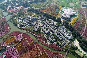 Beautiful Autumn Scenery in China