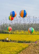 Helium Balloons Sprays Pesticides In Suqian City