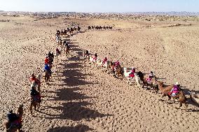 Tourists Experience Desert Riding Camel
