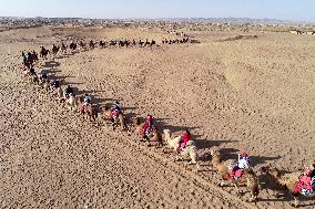 Tourists Experience Desert Riding Camel