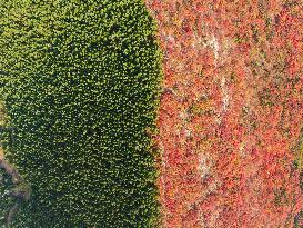 Natural Scene In Jinan City