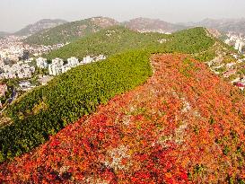 Natural Scene In Jinan City