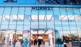 Huawei Mate40 5g Phones