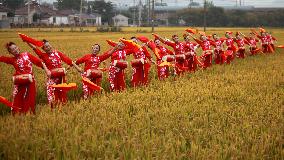Rice Fields Waist Drum