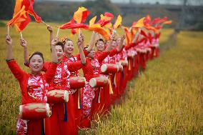 Rice Fields Waist Drum