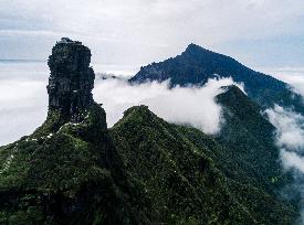 World natural heritage fanjing mountain in Guizhou,China