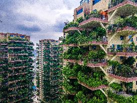 Plants Overrun Apartment Blocks In Chengdu City