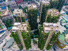 Plants Overrun Apartment Blocks In Chengdu City