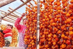 Persimmon Harvest