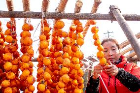 Persimmon Harvest