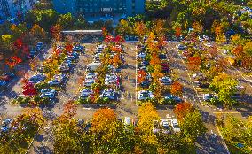 Ecological Parking