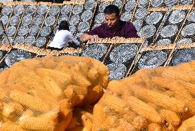 Hand-made Powdered Skin Production