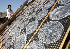 Hand-made Powdered Skin Production