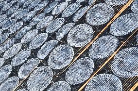 Hand-made Powdered Skin Production