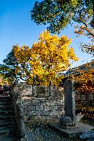 Dajue Temple in Autumn