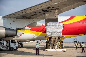 Hainan Free Trade Port's First Intercontinental All-cargo Route Opens