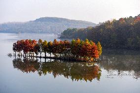 Autumn Scenery in China