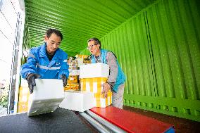 Double 11 E-commerce Warehouse Logistics