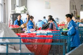 Double 11 E-commerce Warehouse Logistics