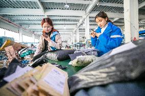 Double 11 E-commerce Warehouse Logistics