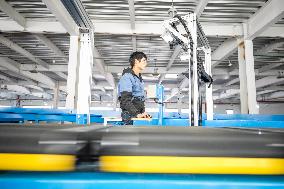 Double 11 E-commerce Warehouse Logistics