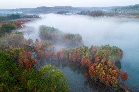 Autumn Scenery in China