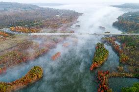 Autumn Scenery in China