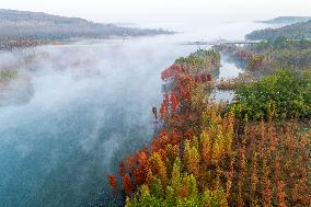 Autumn Scenery in China