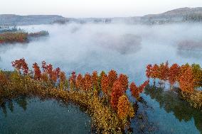 Autumn Scenery in China