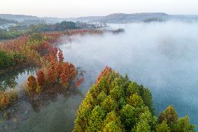 Autumn Scenery in China