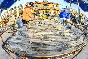 Basking Fish In Early Winter