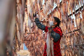 Dried Fish in Autumn
