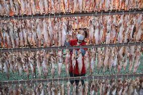 Dried Fish in Autumn