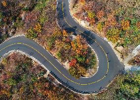 Rural Highway Construction