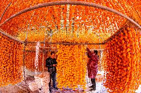 Persimmon Processing