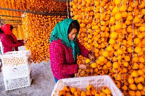 Persimmon Processing