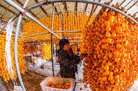 Persimmon Processing