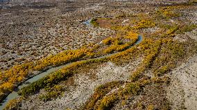 Natural Ecological Environment Improvement In China