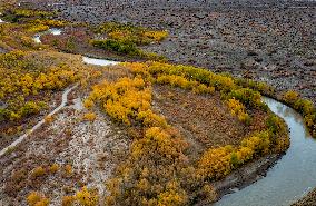 Natural Ecological Environment Improvement In China