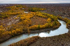 Natural Ecological Environment Improvement In China