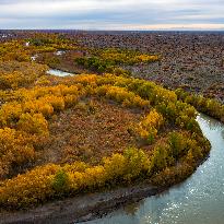 Natural Ecological Environment Improvement In China