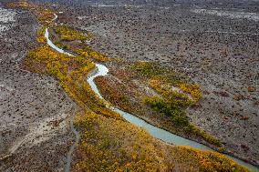 Natural Ecological Environment Improvement In China