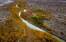 Natural Ecological Environment Improvement In China