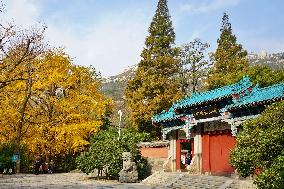 Taiqing Palace In Early Winter